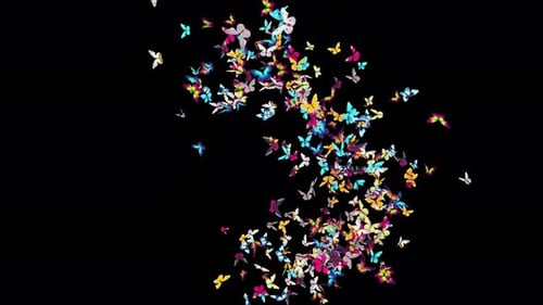 01 Butterfly 4K