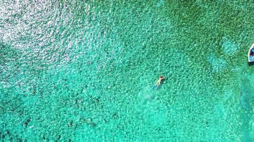 Snorkeler Swims in Tropical Turquoise Waters, Aerial View