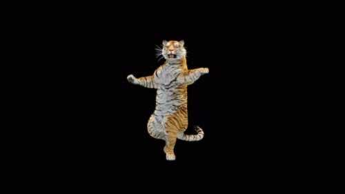 Tiger Tanzen 4K