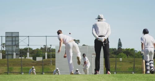 Cricket players winning the match