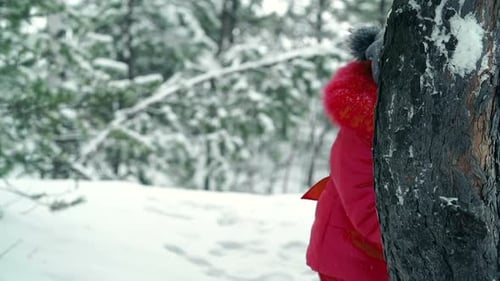 Enjoying Snow Fight