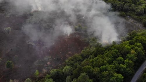 Aerial View Forest Fire on the Mountains