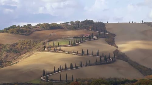 Camino sinuoso con cipreses en la Toscana
