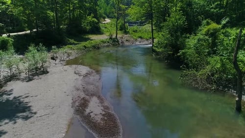 Stream flowing through the trees in the forest.
