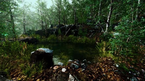 Summer Forest Landscape with Green Deciduous Trees on the Bank of the Small Pond