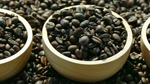 A lot of Coffee bean