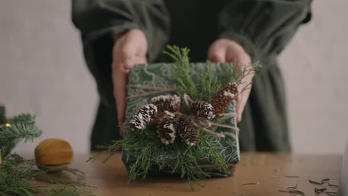 Zoom Camera and Girl in Hand Holds a Christmas Present and Moves It Towards the Camera