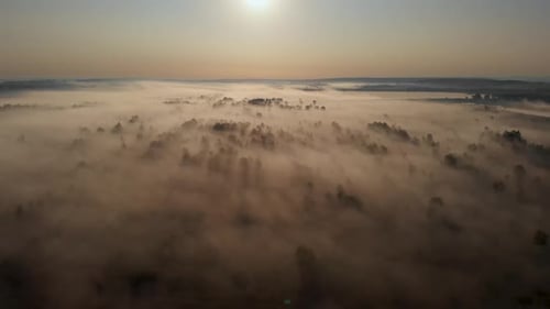 Epic aerial view of sunrise fog covering field with trees.