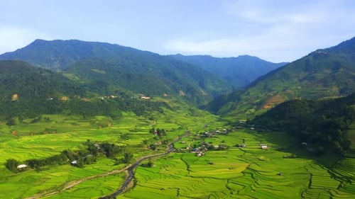 Aerial top view of paddy rice terraces, green agricultural fields in Vietnam.