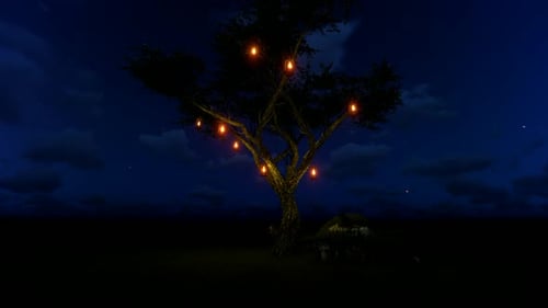 Lanternes suspendues à un arbre