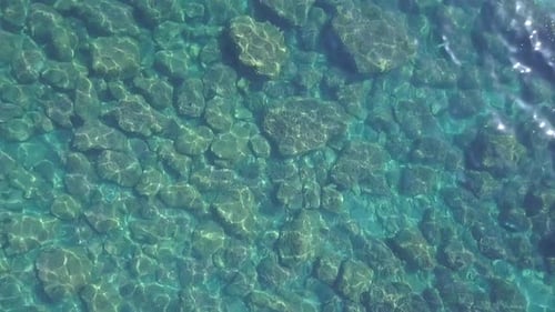 Summer Transparent Sea Beach