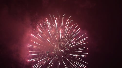 Brilliant Fireworks Exploding in the Night Sky