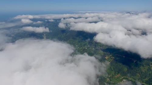Fliege über den Wolken im Wald