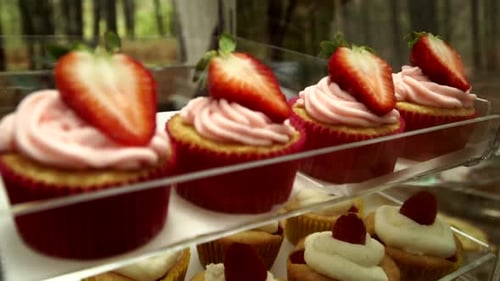 Fresh Cupcakes and Desserts in Display Case