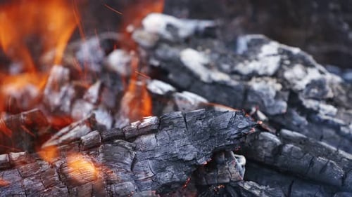 Burning Flames Flickering Around Logs in Close Up