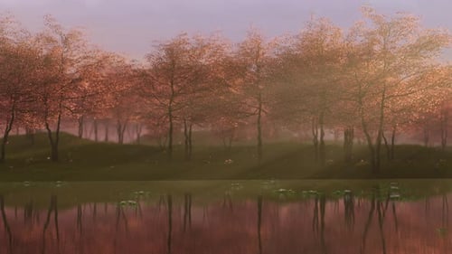 Frühlingsbäume mit Sonnenlicht