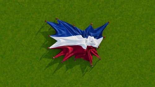 Realistic Fabric Flag Unfurling Animation on Green Grass