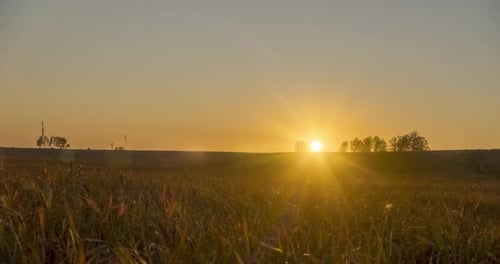 Flat Hill Meadow Timelapse at the Summer Sunset Time