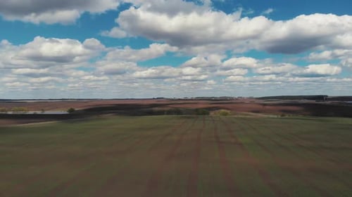 The Camera Is Flying Over the Field. Beautiful Shots of Farm Fields From a Bird's-eye View. Aerial
