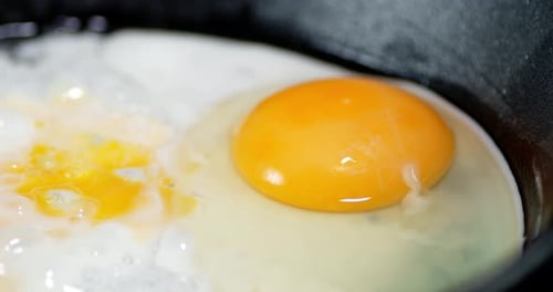 Eggs Are Fried in a Frying Pan with Bubbles of Oil.