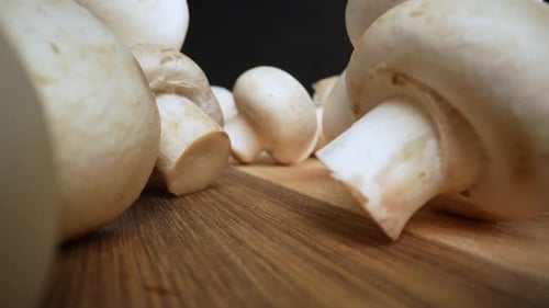 Mushrooms 16