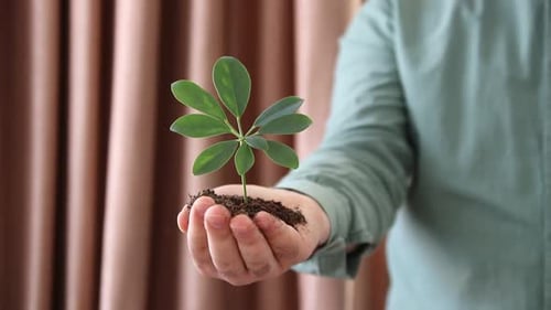 Soil Growing