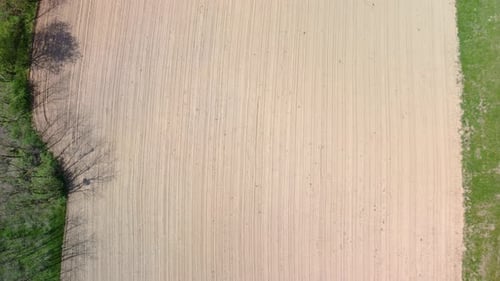 Farming field ploughed and ready for seeds. 4k aerial drone view
