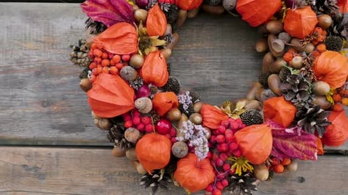 Wreath of Autumn Plants and Berries.autumn Wreath with Orange Physalis. Florist Shop