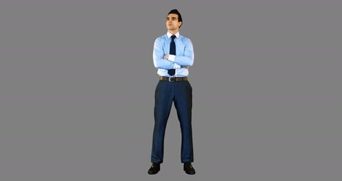 Businessman standing with arms crossed