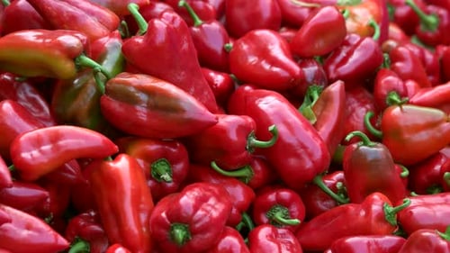 Tasty Ripe Pepper Close Up