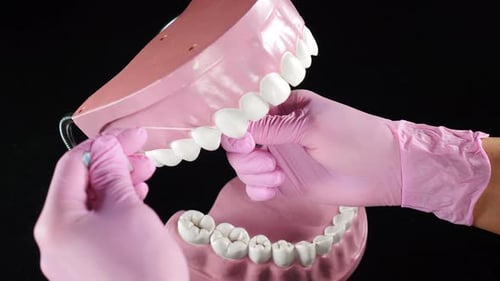 Un orthodontiste montre comment nettoyer les dents à l'aide de fil dentaire et d'un modèle de mâchoire en plastique