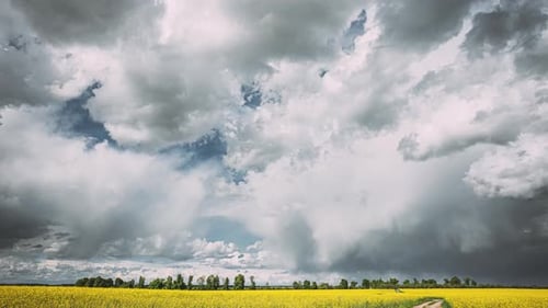 Dramatic Sky With Rain Clouds On Horizon Above Rural Landscape Camola Colza Rapeseed Field