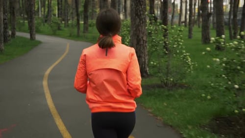 Back side of female runner training in city park in the morning. Running concept