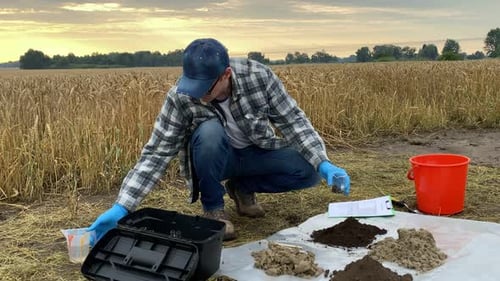Agronomist Preparing to Examine Quality Soil Sample at Field Sunrise