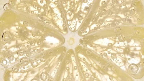 Lemon Slice Floating in Sparkling Water Close Up