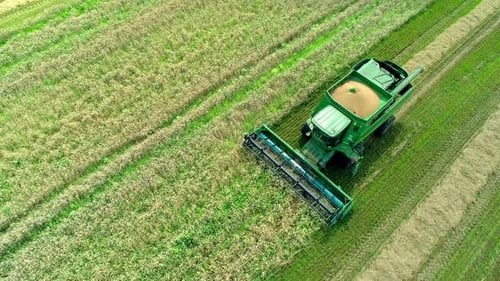 Combine Harvester