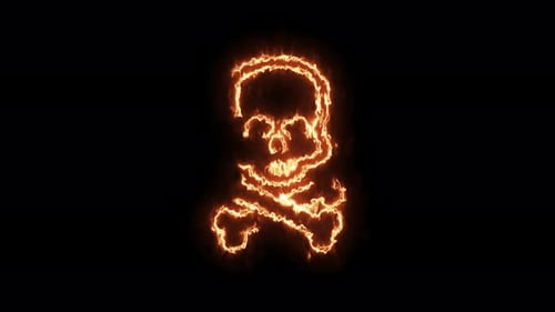 Fire Burning Skull