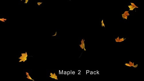 Falling Autumn Maple Leaves Overlay Loop