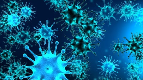 Virus Bacteria