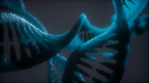 Loop Double Helical Structure of Dna Strand Close-up Animation