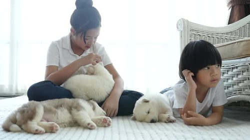 Girl and Boy Playing with Puppies Indoors