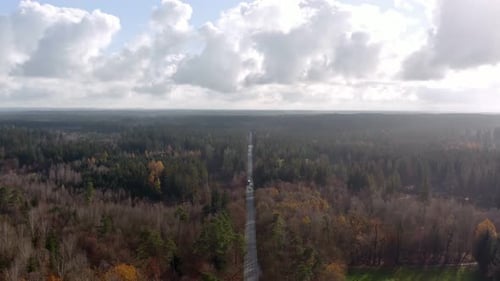 Aerial autumn view over a wide forest with a straight street with driving cars. 4K drone footage fly