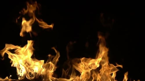 Fire Line 10