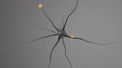 Neuron Cell Firing Electrical Impulses 3D Animation