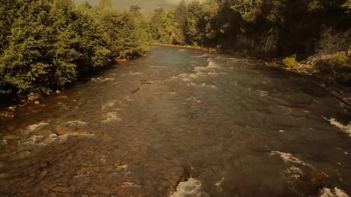 Rapid River Stream in the Green Forest Top View