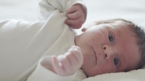 Close-up portrait of a young baby who has recently been born.