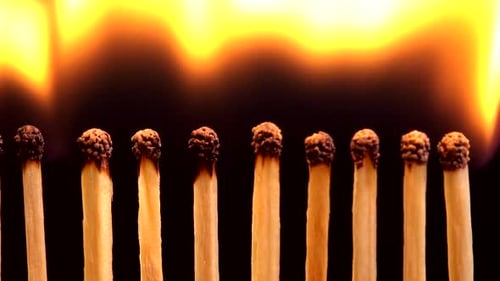 Matches Igniting in a Chain Reaction on Black