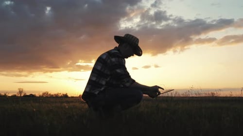 Farmer Monitoring Field with Tablet at Sunset