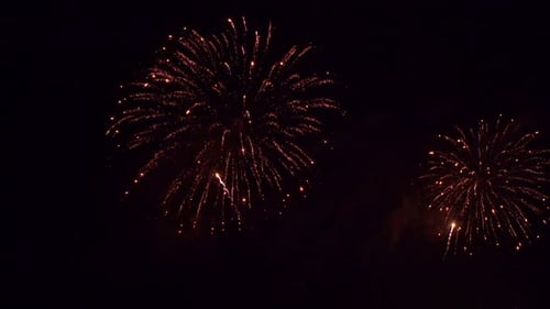 Colorful Firework display at night on sky background