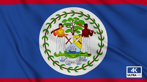 Animated Waving Flag of Belize